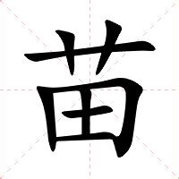 苗字意思|苗的意思，苗字的意思